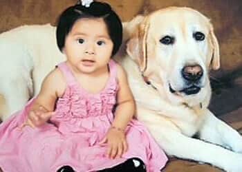 Homeless Man in Prison for Vehicle Theft and Animal Cruelty